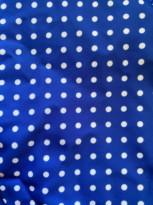 Larkspur One Piece - Blue + White Dots - Wild Flower Swimwear